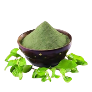 Pudina Powder
